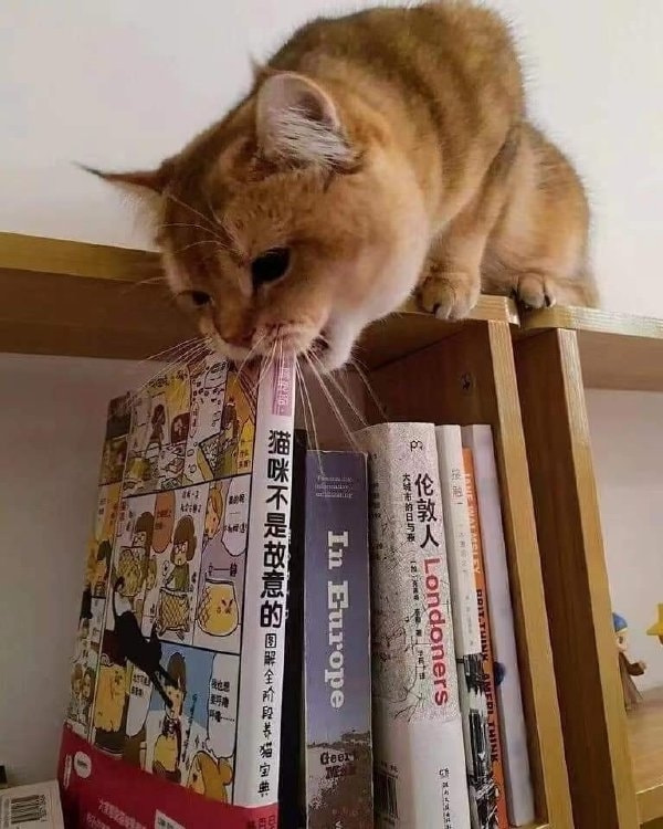 轻松一刻:还是老板玩的花,招"小秘"明码标价! 轻松一刻:还是老板玩的花,招"小秘"明码标价!