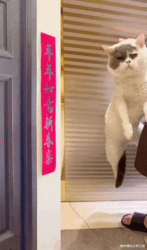 山西某女子因为太想要男朋友导致昏迷,你是有多想呀! 山西某女子因为太想要男朋友导致昏迷,你是有多想呀!