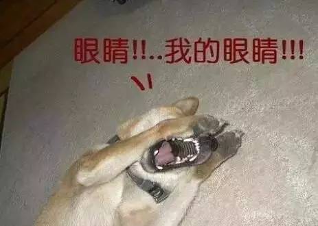 愚人节到了,送你4个笑话,够你笑到明年愚人节了! 愚人节到了,送你4个笑话,够你笑到明年愚人节了!