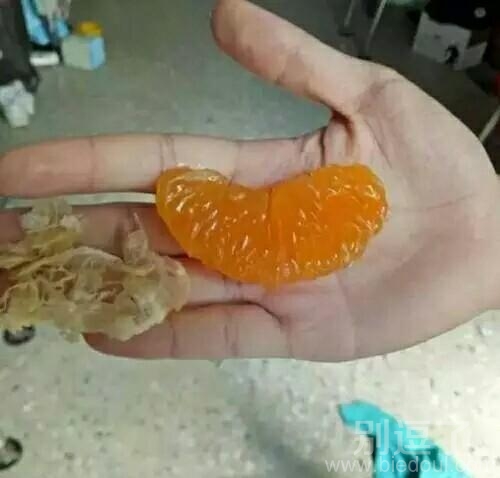 这么吃橘子，好累啊