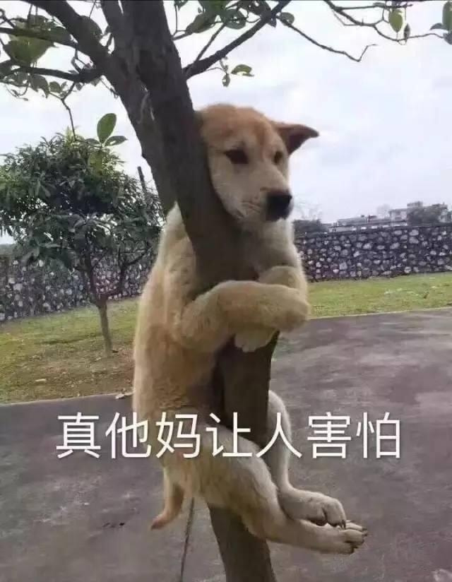 轻松一刻:玩脱了,愚人节玩笑开大了…… 轻松一刻:玩脱了,愚人节玩笑开大了……