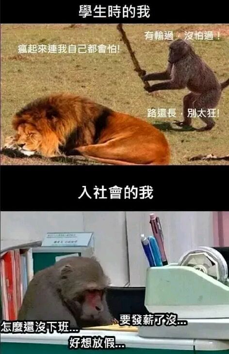 每日一笑,逗你开心 每日一笑,逗你开心