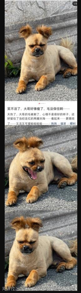 也太潦草了 也太潦草了