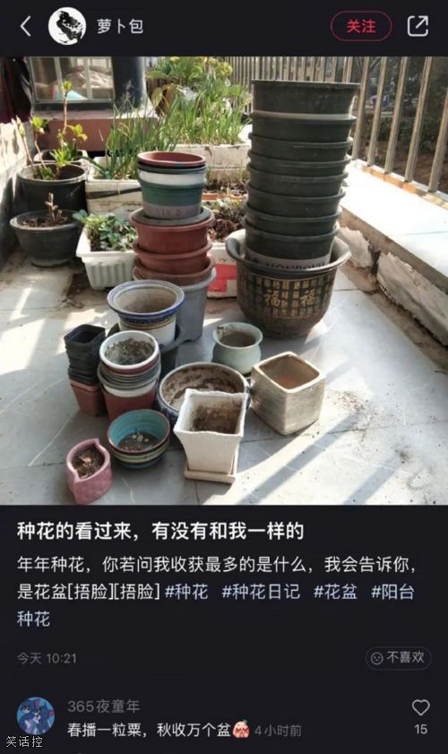 养花后最大的收获。 养花后最大的收获。