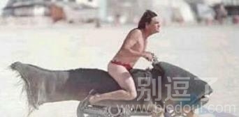 鱼当坐骑