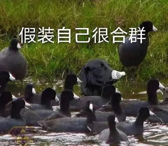 轻松一刻:一辈子很短,一周很长,你放假了吗? 轻松一刻:一辈子很短,一周很长,你放假了吗?