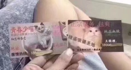 轻松一刻:一辈子很短,一周很长,你放假了吗? 轻松一刻:一辈子很短,一周很长,你放假了吗?