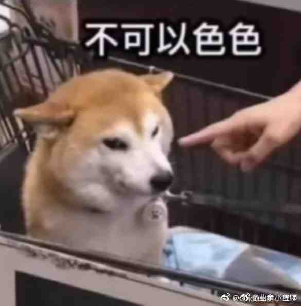 轻松一刻:一辈子很短,一周很长,你放假了吗? 轻松一刻:一辈子很短,一周很长,你放假了吗?