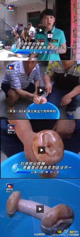 轻松一刻:一辈子很短,一周很长,你放假了吗? 轻松一刻:一辈子很短,一周很长,你放假了吗?