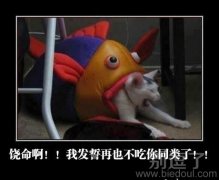 我再也不吃你同伴了 我再也不吃你同伴了