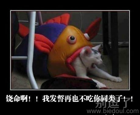 我再也不吃你同伴了 我再也不吃你同伴了