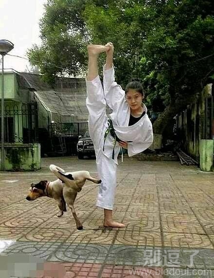 汪妹子是不是和你有仇啊 汪妹子是不是和你有仇啊