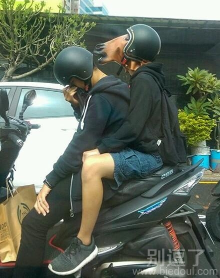 和狗一起坐在车上。