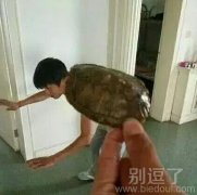 有这样的猪队友就比较坑爹