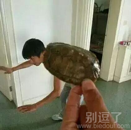 有这样的猪队友就比较坑爹 有这样的猪队友就比较坑爹