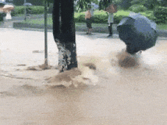 体重大小的重要区别 体重大小的重要区别