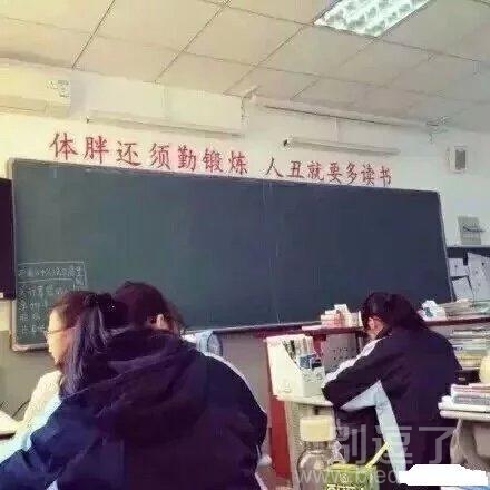 只怪我们太瘦太美