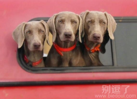 哥仨出游,长得真像。。 哥仨出游,长得真像。。