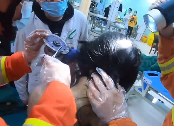 轻松一刻:疫情,你耽误我谈恋爱了! 轻松一刻:疫情,你耽误我谈恋爱了!