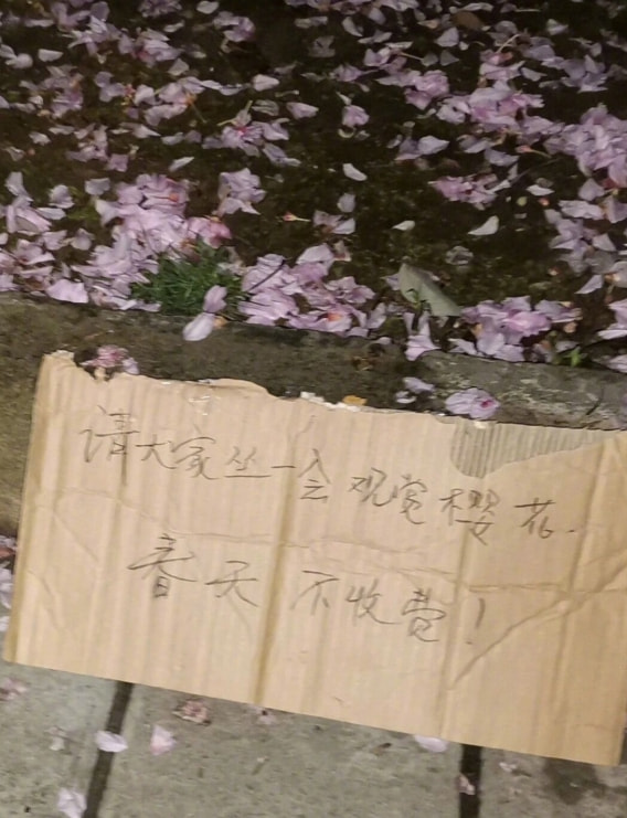 轻松一刻:疫情,你耽误我谈恋爱了! 轻松一刻:疫情,你耽误我谈恋爱了!
