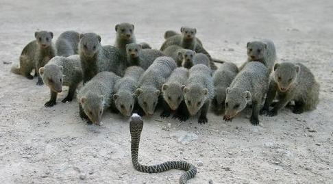 难道被围观了 难道被围观了