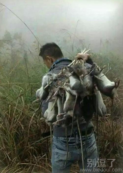 这个猎人太可怕了