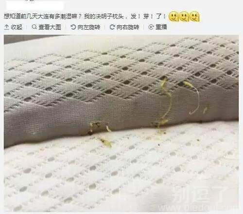 说明这是真材实料嘛