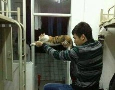 你这样会吓死喵星人的！