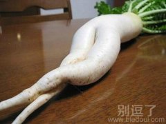 这是谁家的美女跑出来了。