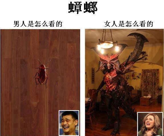 男人女人看见蟑螂的表情！