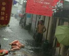今天的意外收获捡到一个女朋友
