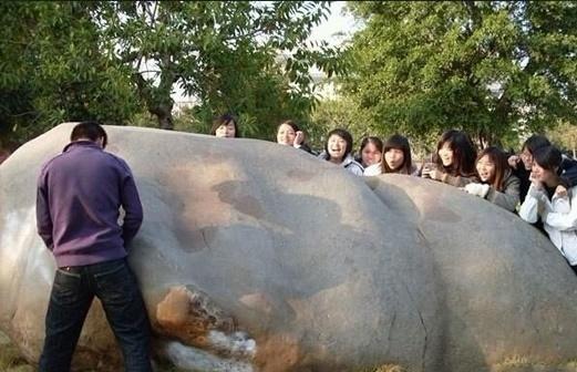 二货表示压力很大 二货表示压力很大