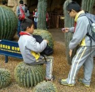 见过铁头功 见过铁头功