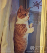 能看出来我在看什么吗