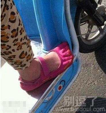 这搭配也是醉了! 这搭配也是醉了!