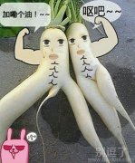 长的另类的萝卜。 长的另类的萝卜。