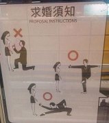 求婚指南，你看懂了吗