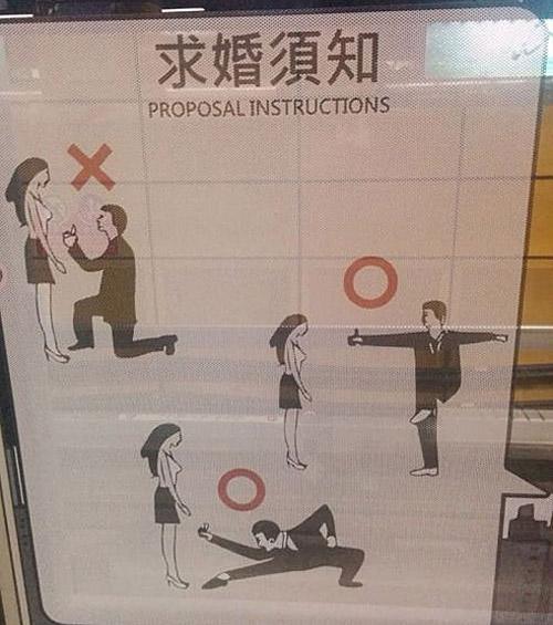 求婚指南,你看懂了吗 求婚指南,你看懂了吗