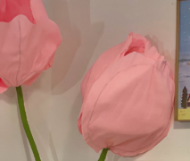 公布恋情不明显的文案最新 很甜蜜的公布爱情的语录