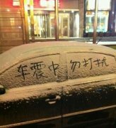 没人打扰看来 没人打扰看来