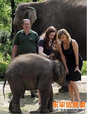 小象同学 小象同学