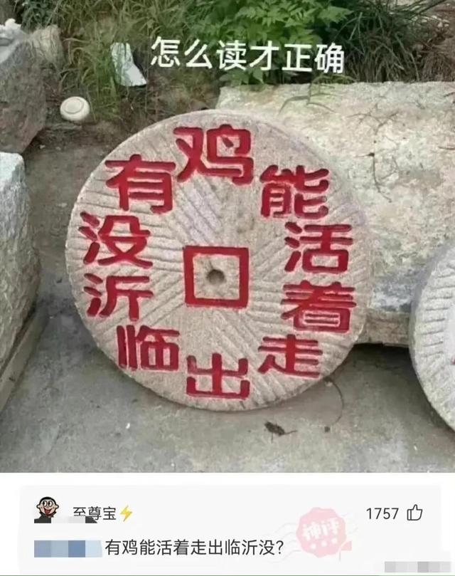 爆笑趣图，笑死人不偿命