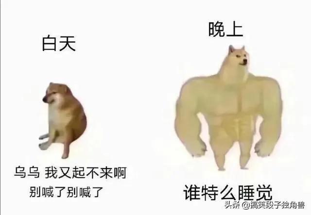 爆笑趣图,笑死人不偿命 爆笑趣图,笑死人不偿命