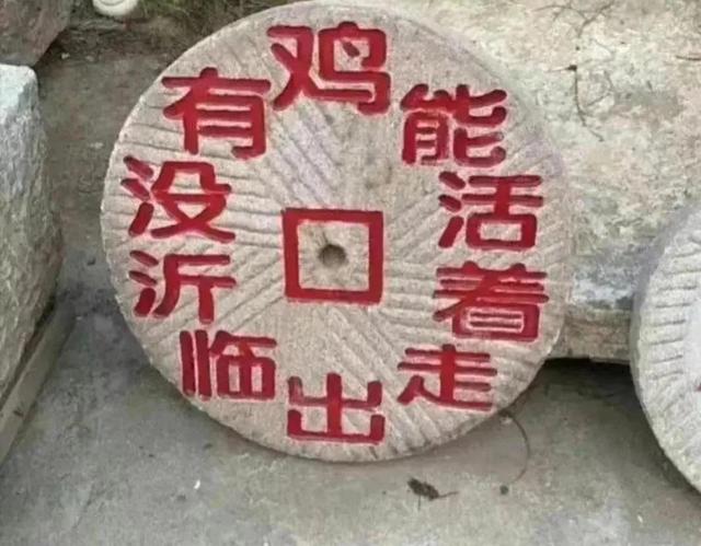 爆笑趣图，笑死人不偿命