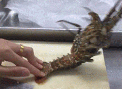 这仰卧起坐做的真标准