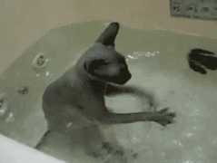 我最喜欢玩水了! 我最喜欢玩水了!
