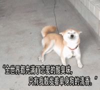 关于明天，我有一些话想告诉你们。