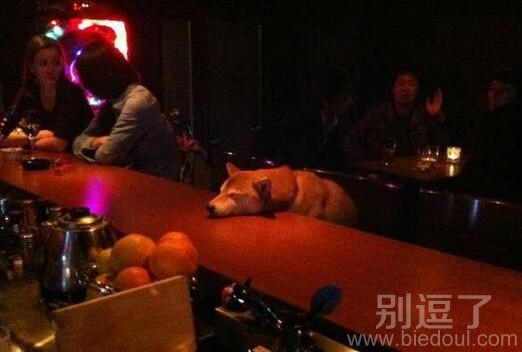 今日青春女生,明日成功女性 今日青春女生,明日成功女性