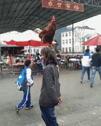 老头的鸡鸡很厉害! 老头的鸡鸡很厉害!