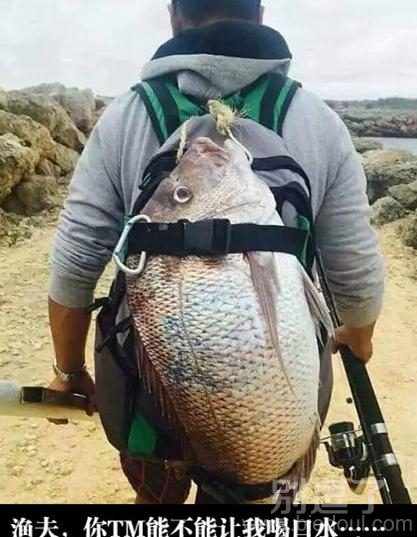 渔夫和鱼的故事!! 渔夫和鱼的故事!!